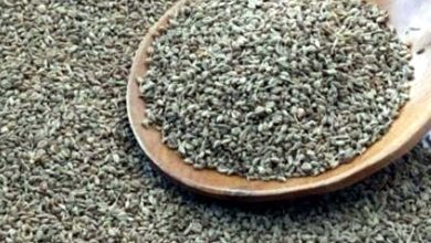 benifits of ajwain